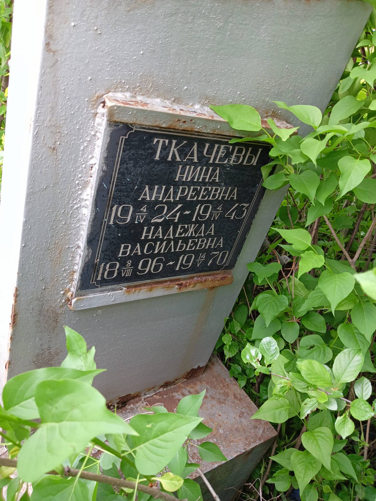 Ткачева Нина Андреевна