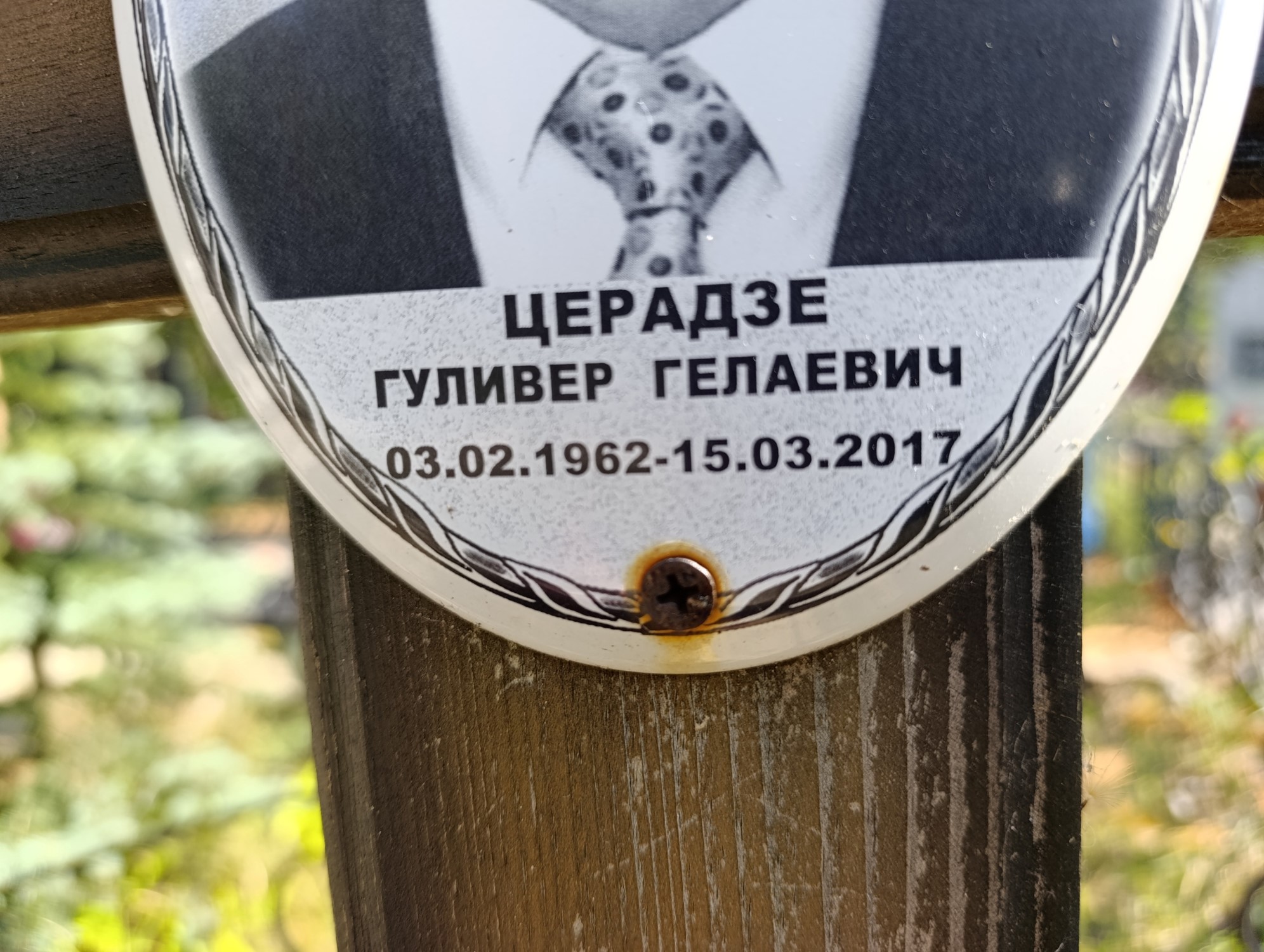 Церадзе Гуливер Гелаевич