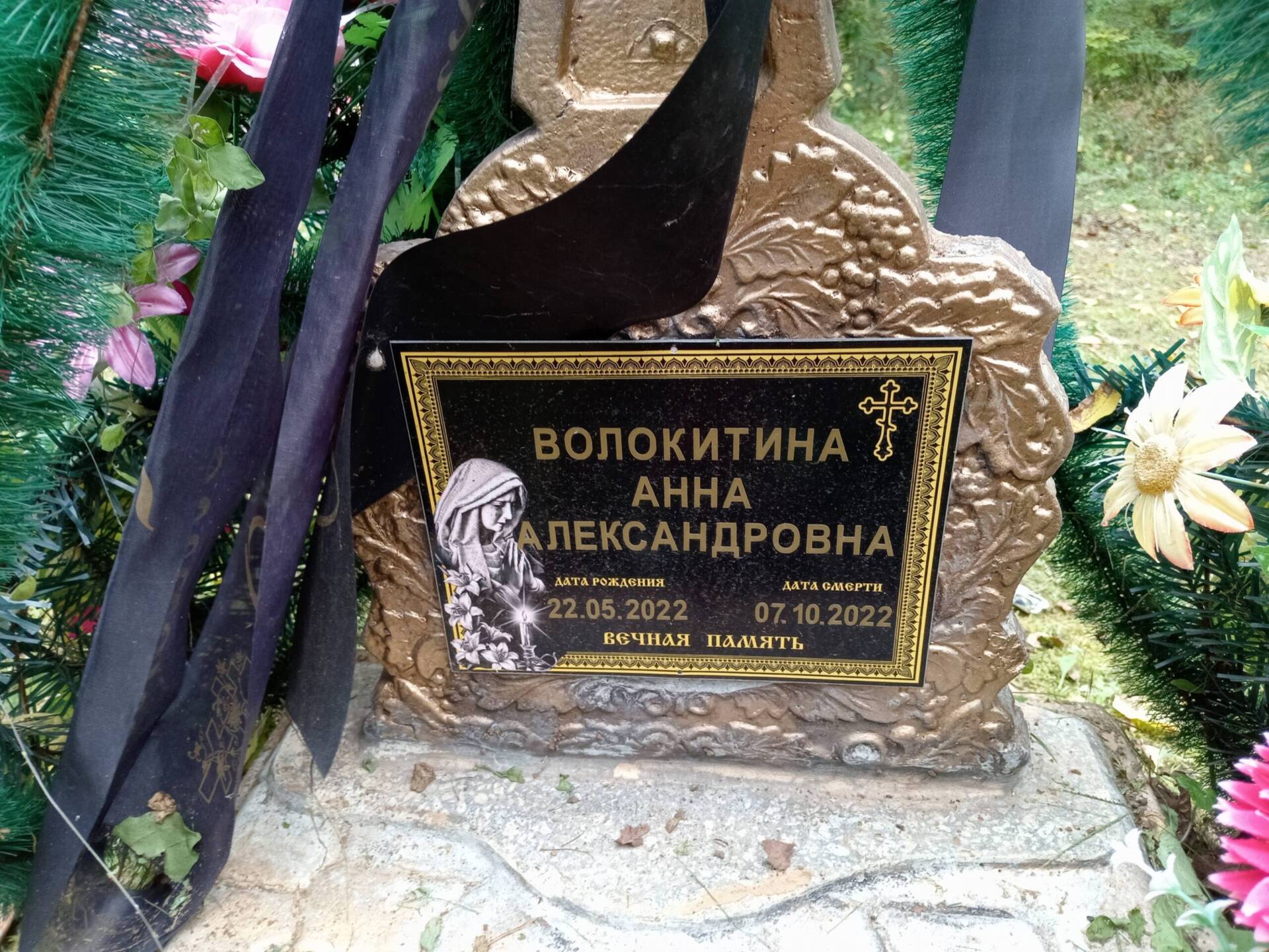 Волокитина Анна Александровна