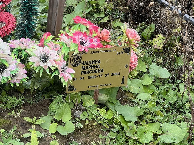 Чащина