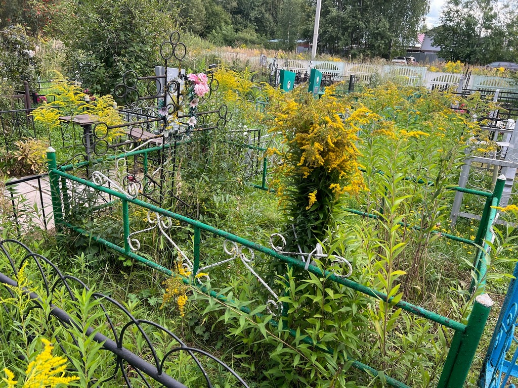 Аленычев Евгений Николаевич