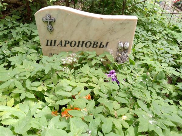 Шаронова Наталья Петровна
