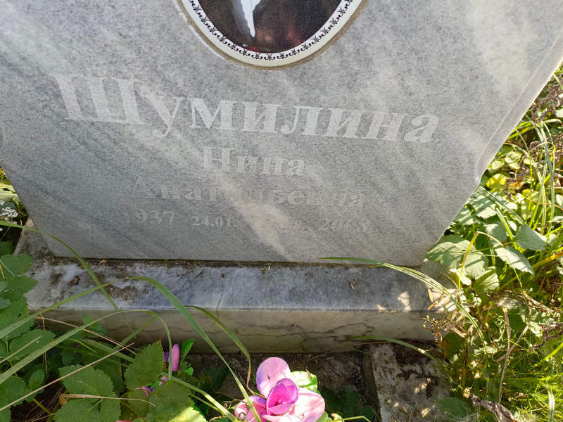 Шумилина