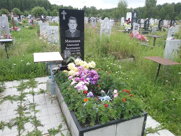 Мякишев Анатолий Васильевич