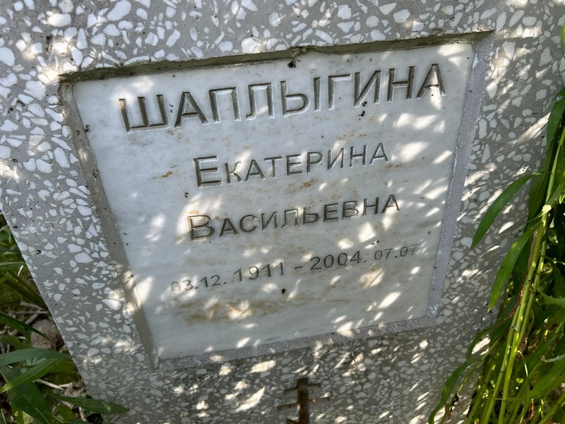 Шаплыгина
