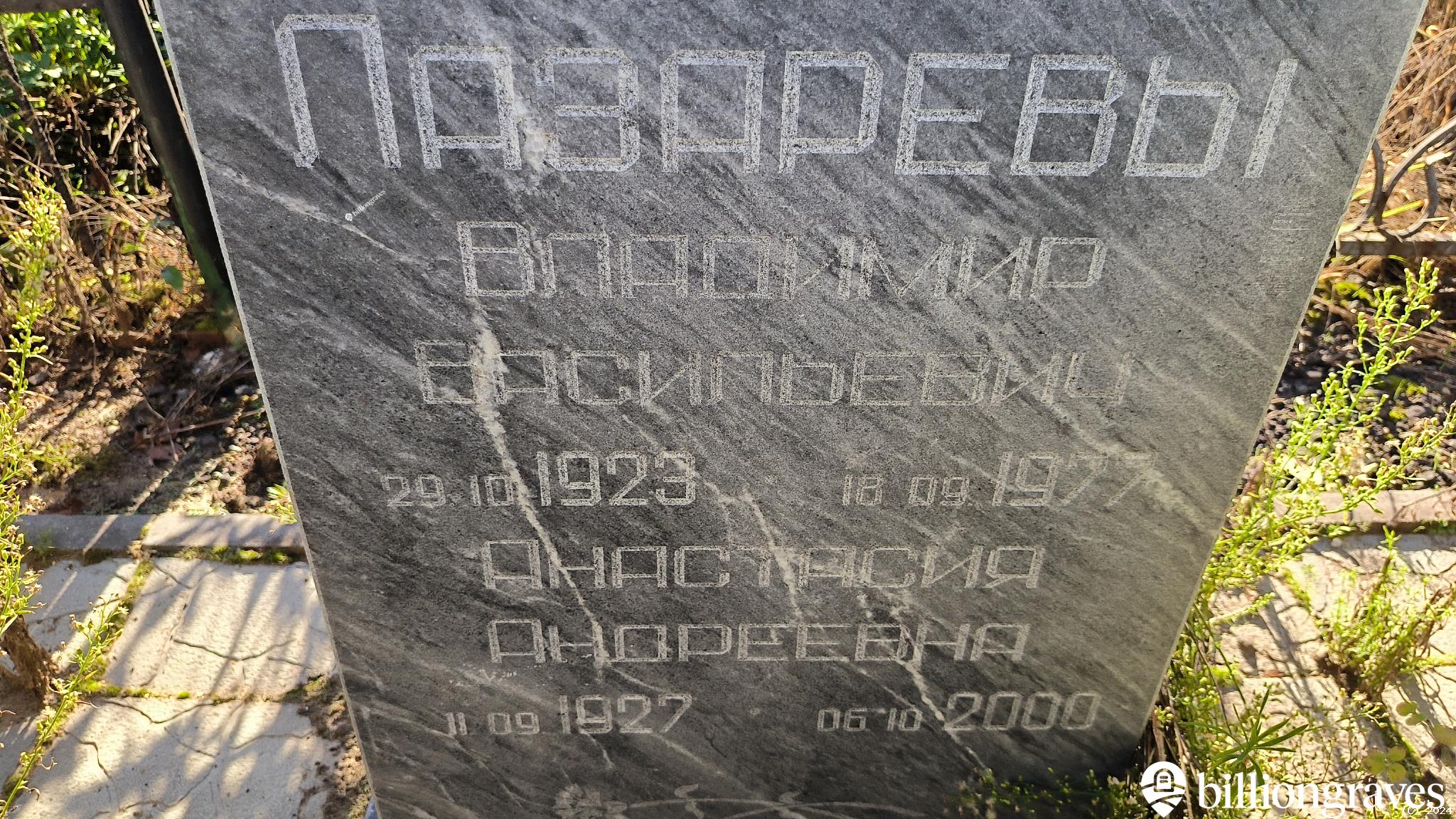 Лазарева Анастасия Андреевна