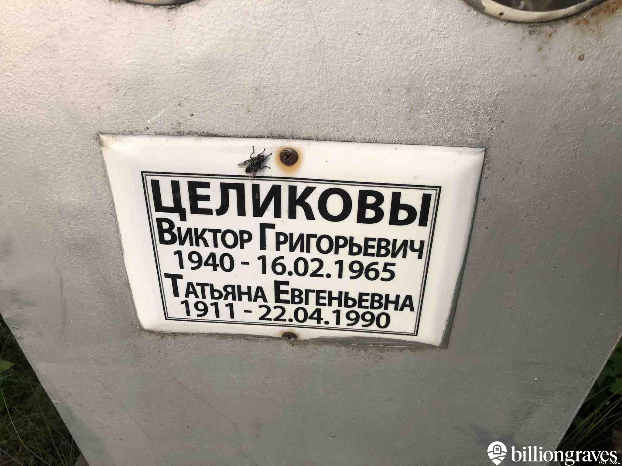 Целиков Виктор Григорьевич