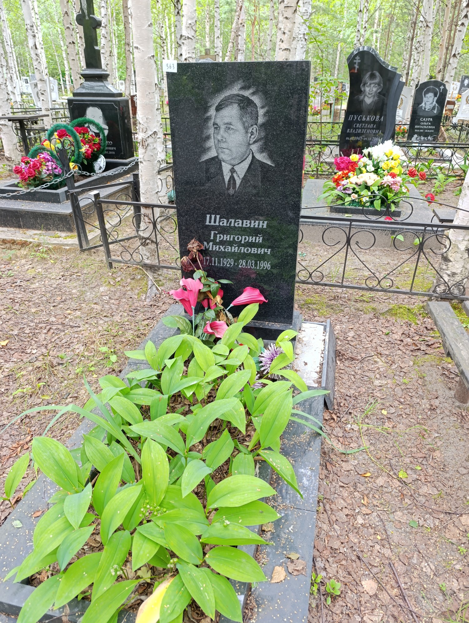 Шалавин Григорий Михайлович