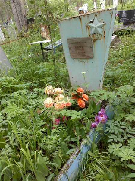 Микушин Яков Лукич
