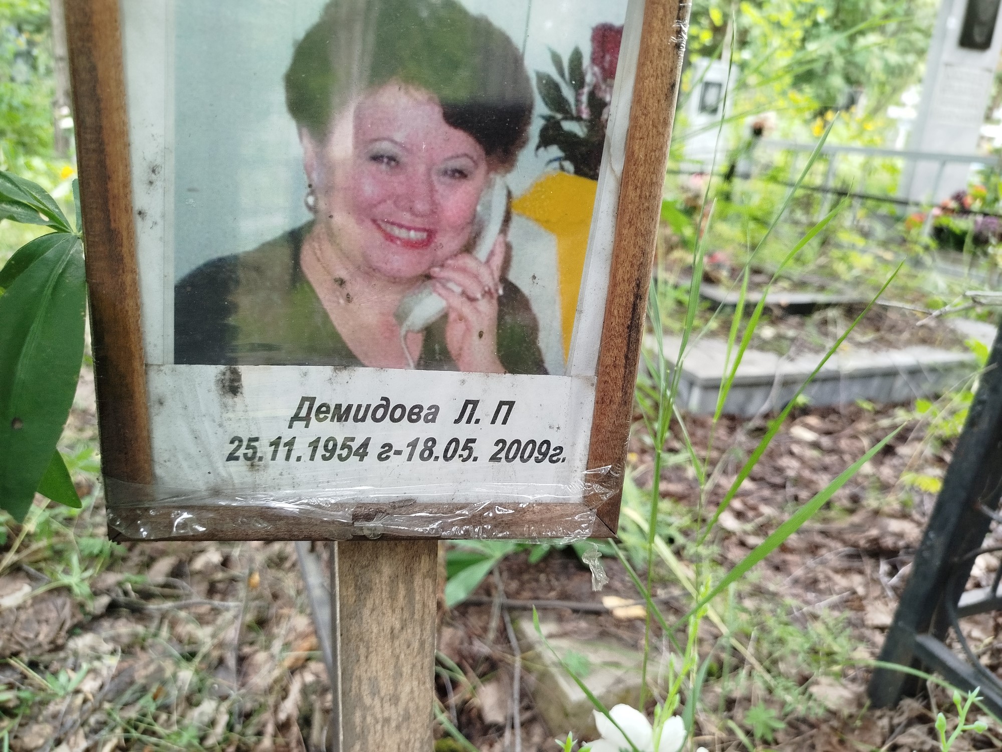 Демидова Л П
