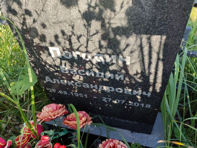 Погодин
