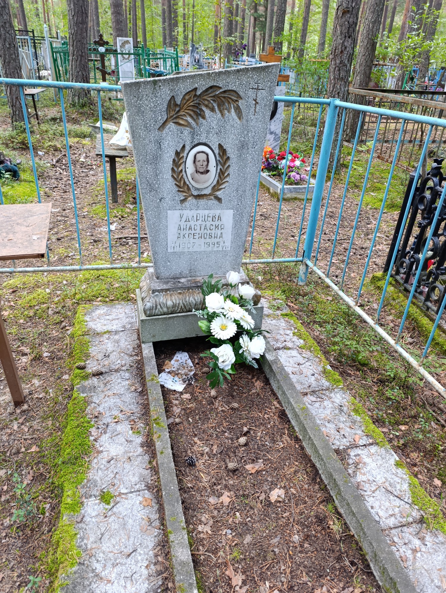 Ударцева Анастасия Аксеновна