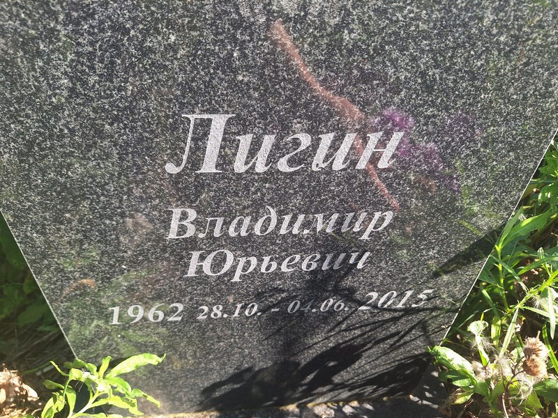 Лигин