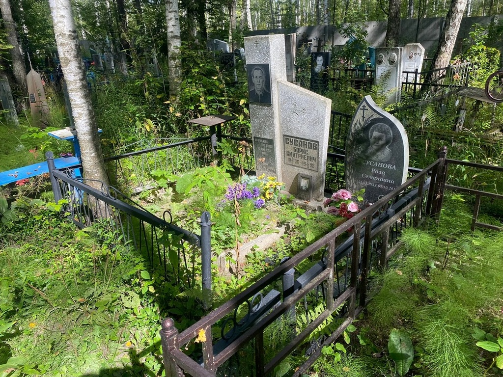 Сусанов Борис Дмитриевич