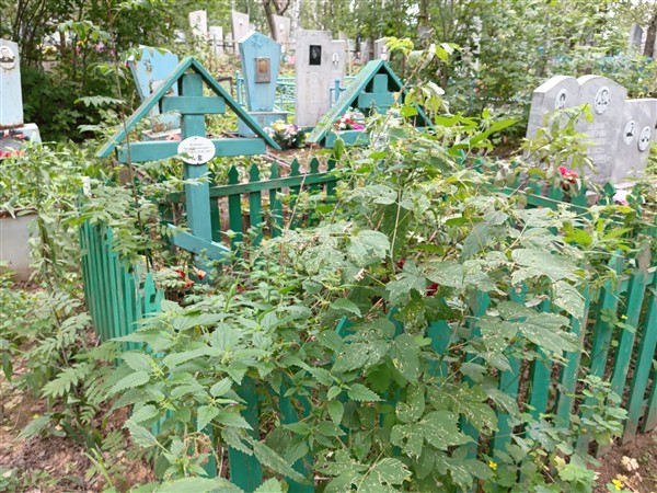 Кузнецов Евсей Михайлович