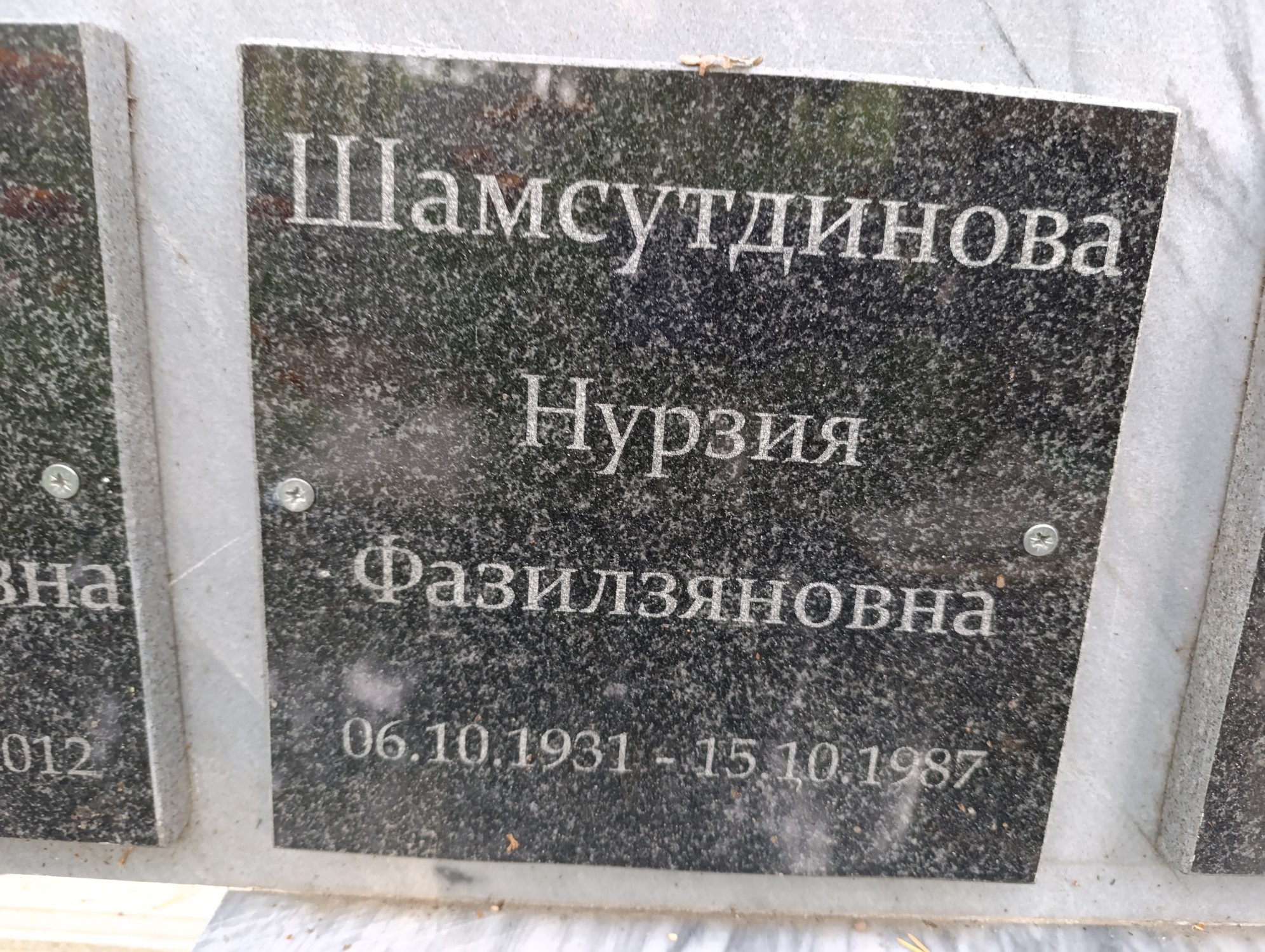 Шамсутдинова Нурзия Фазилзяновна