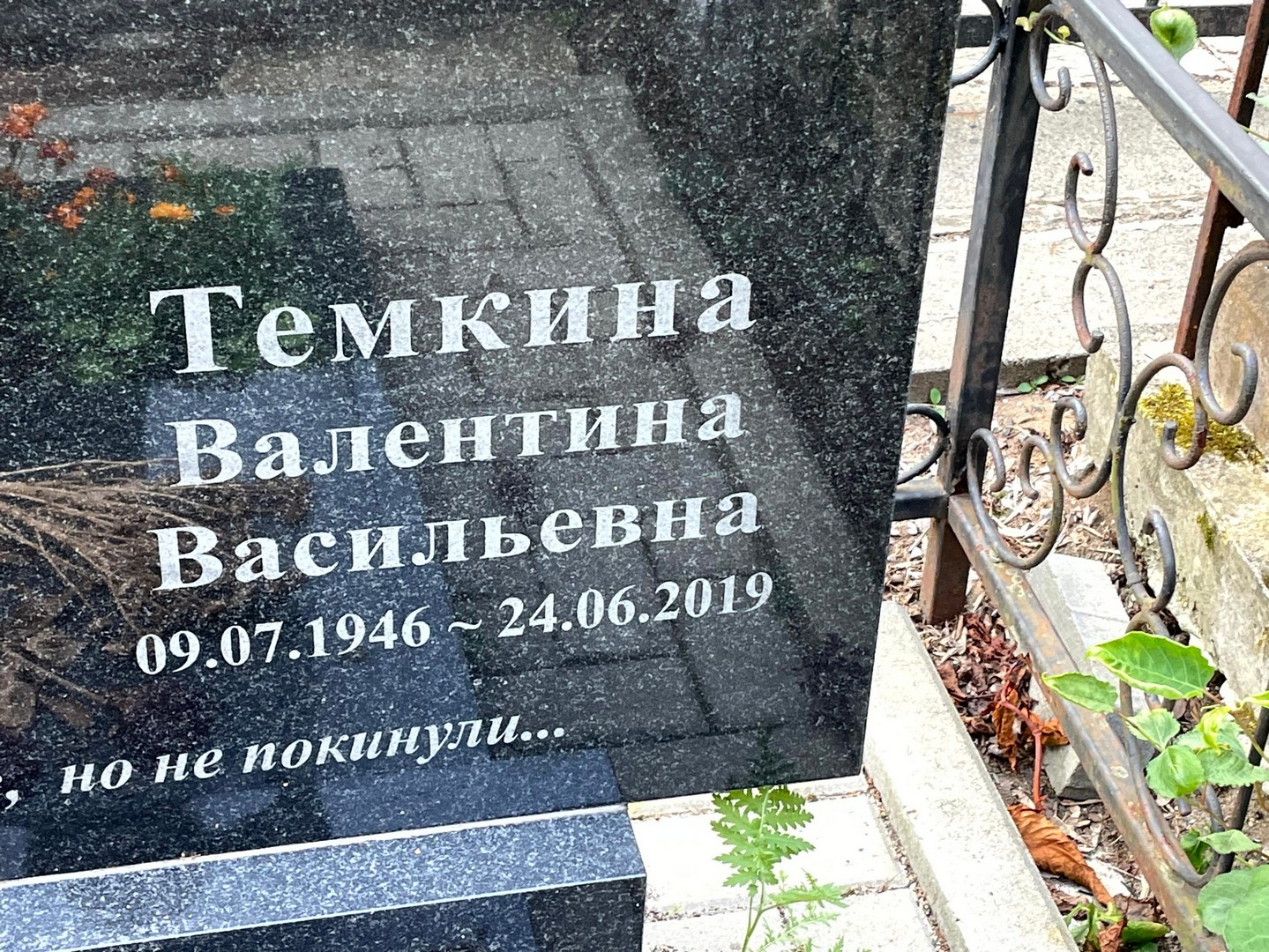 Темкина