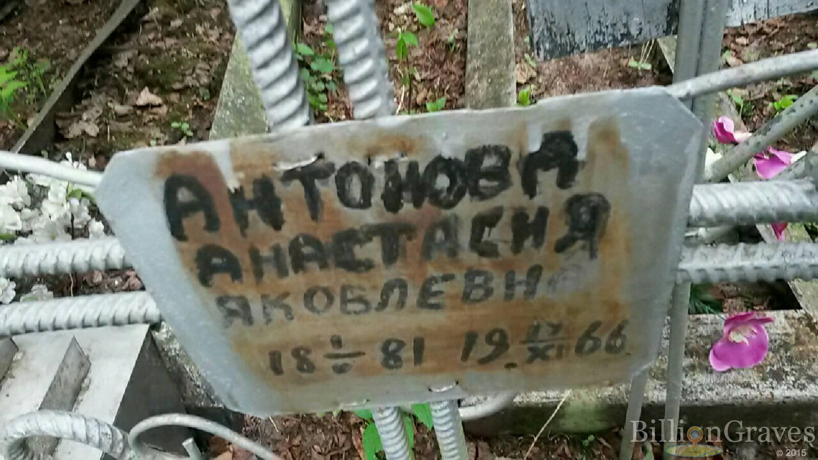 западнов александр васильевич