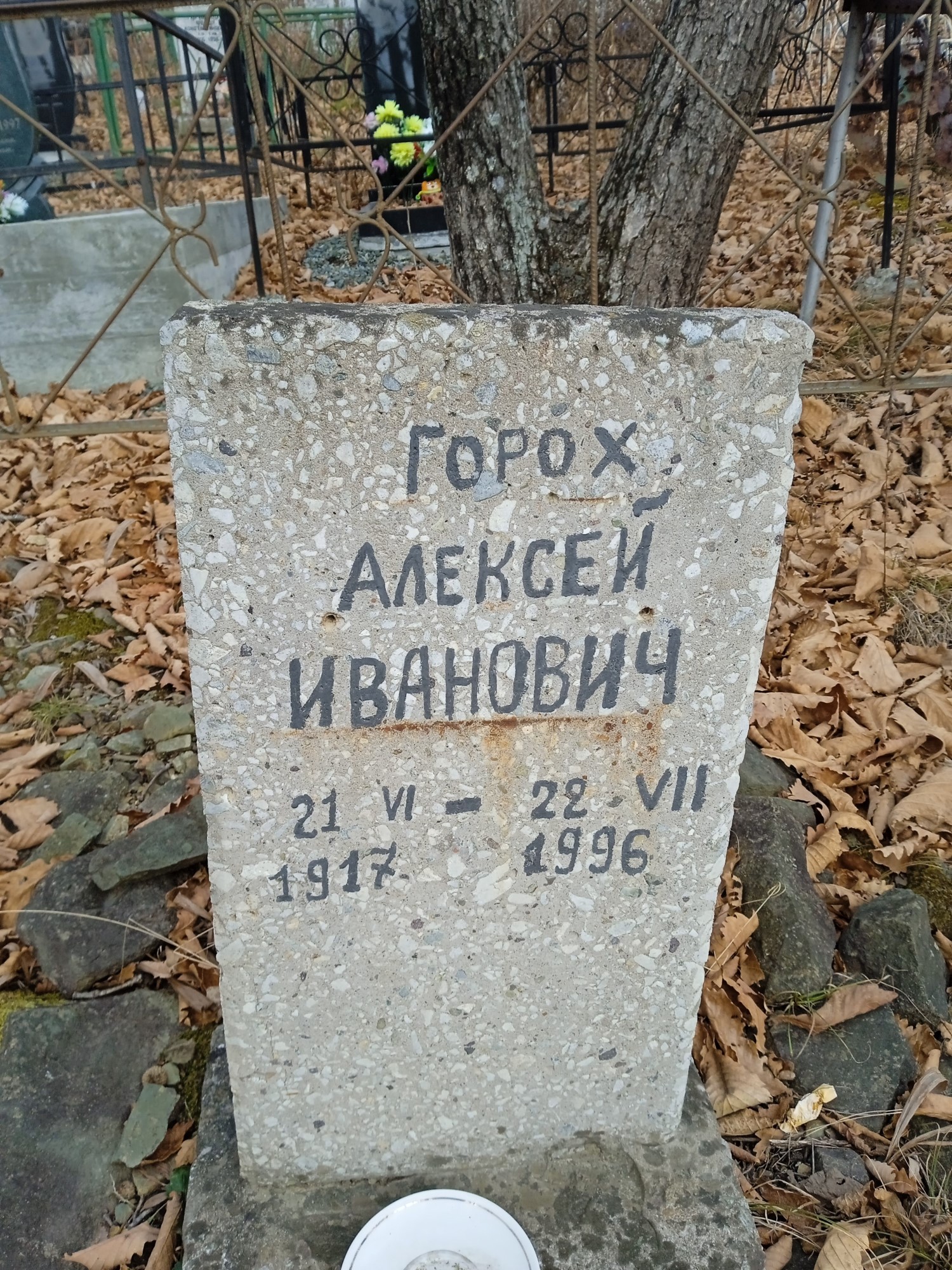 Горох Алексей Иванович