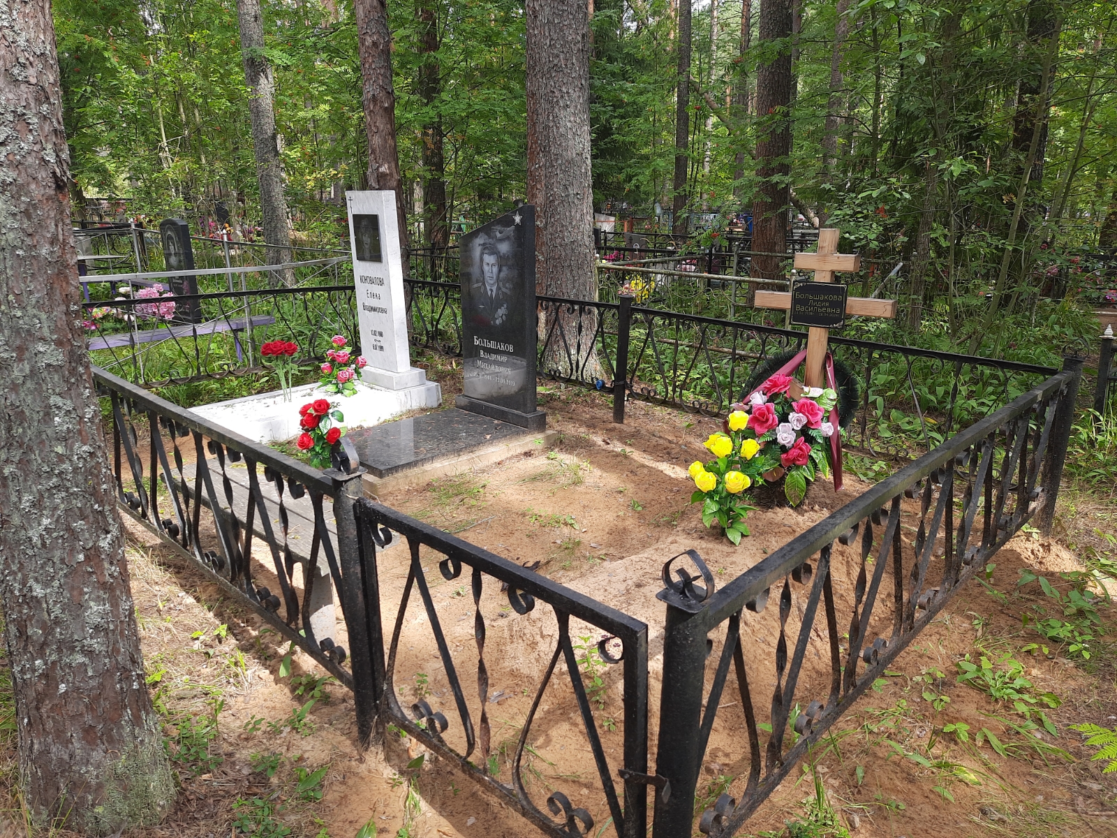 Большаков Владимир Михайлович