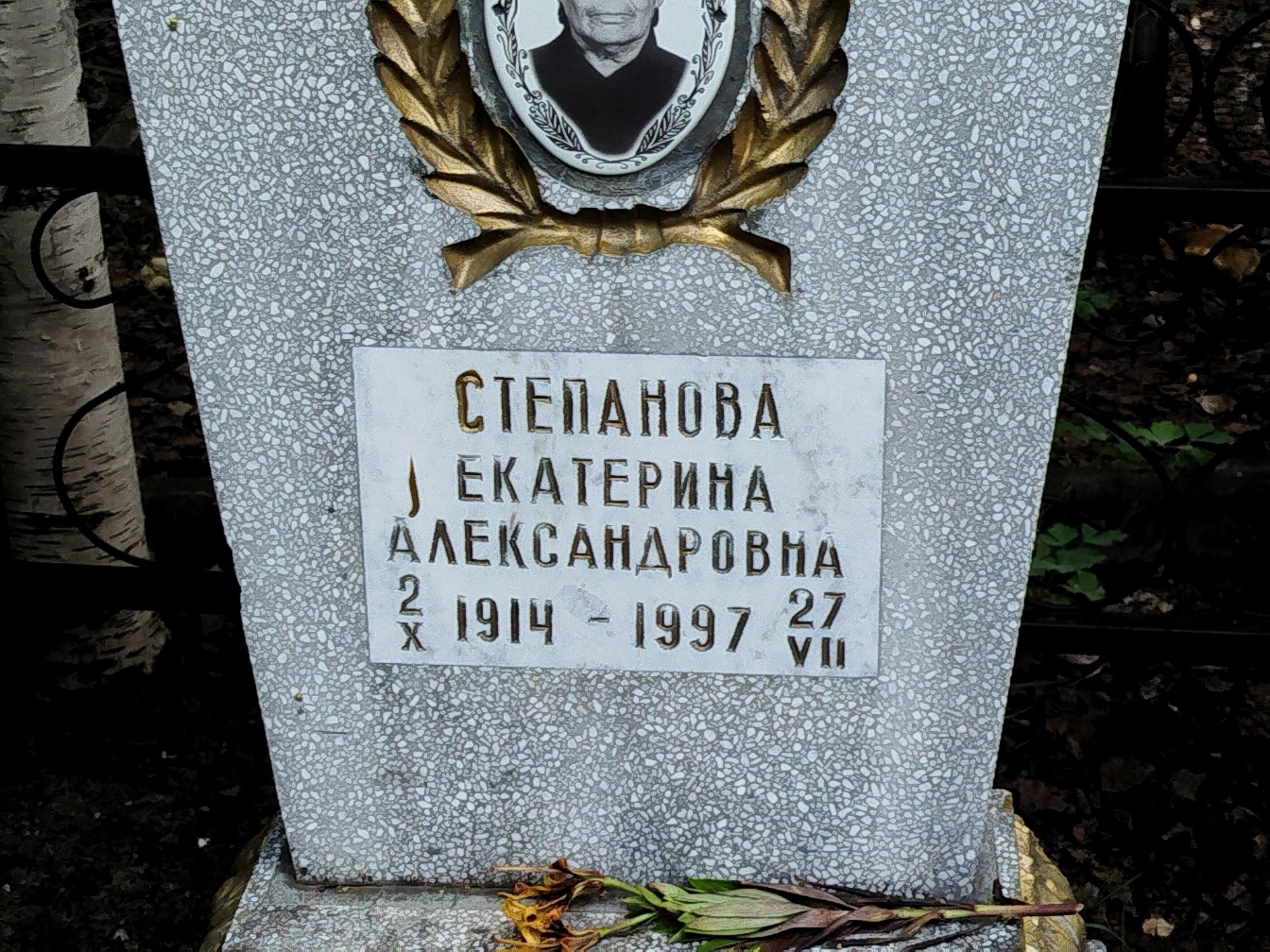 Степанова Екатерина Александровна