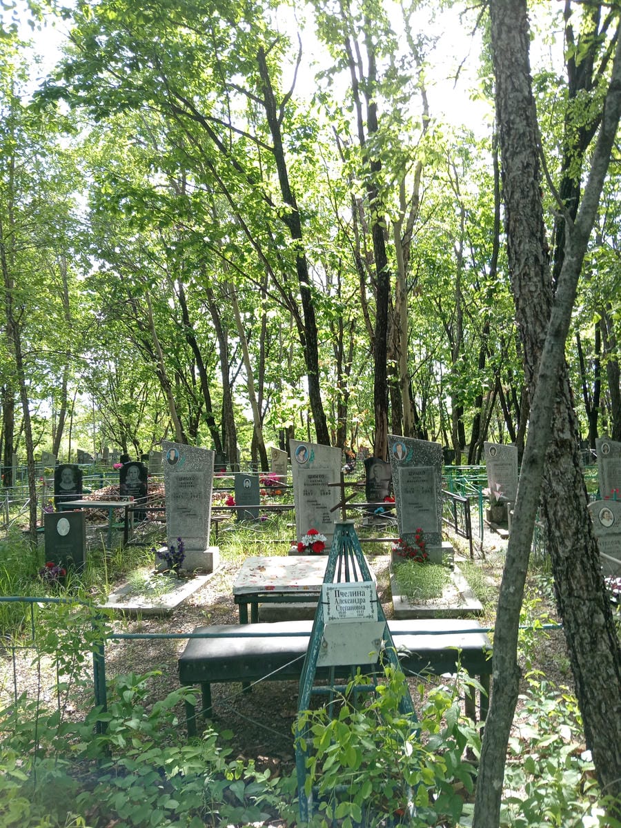 Пчелина Александра Степановна