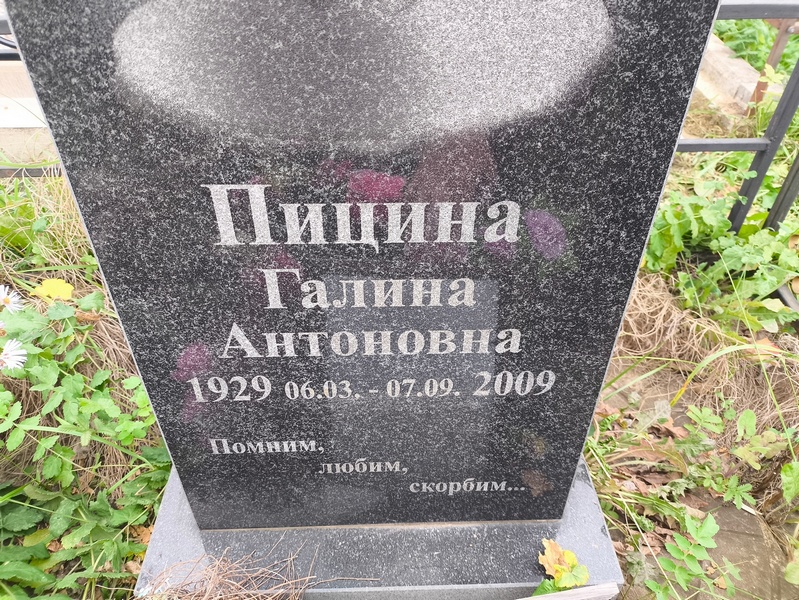 Пицина