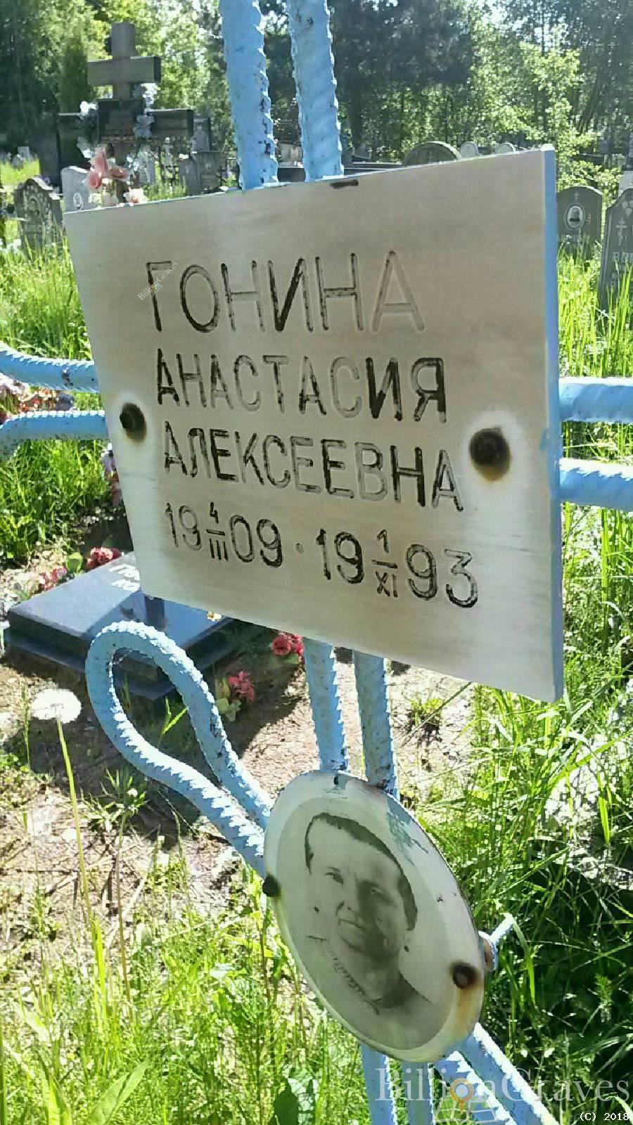 Гонина Анастасия Алексеевна