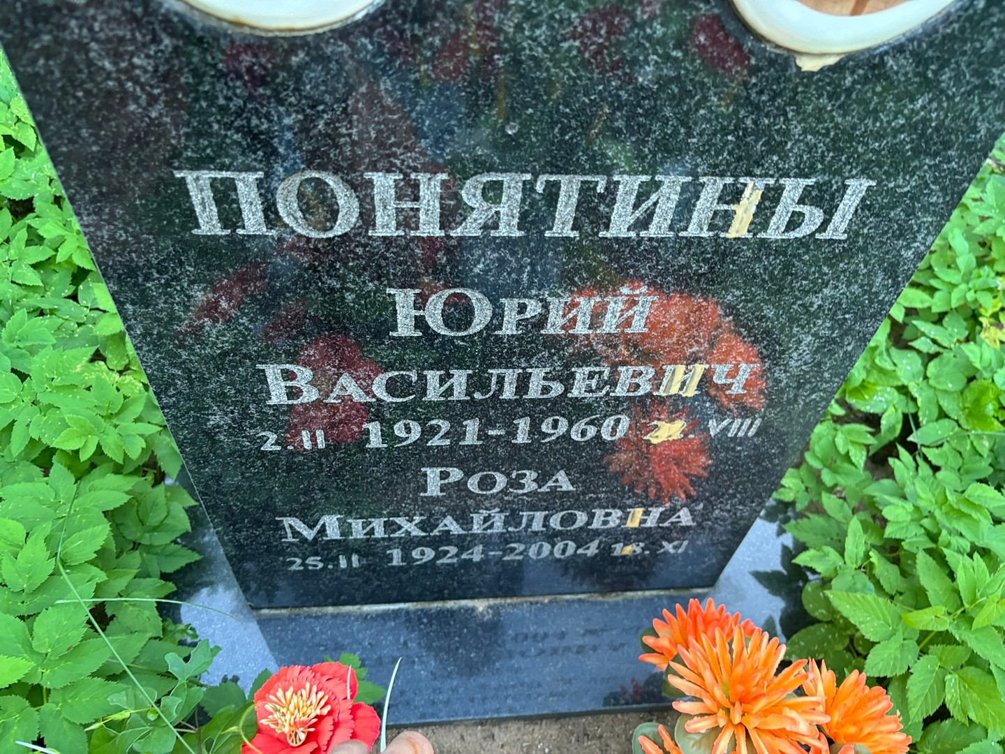 Понятин