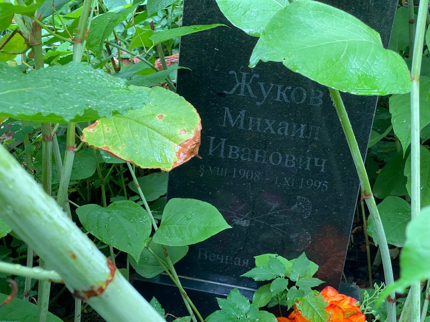 Жуков