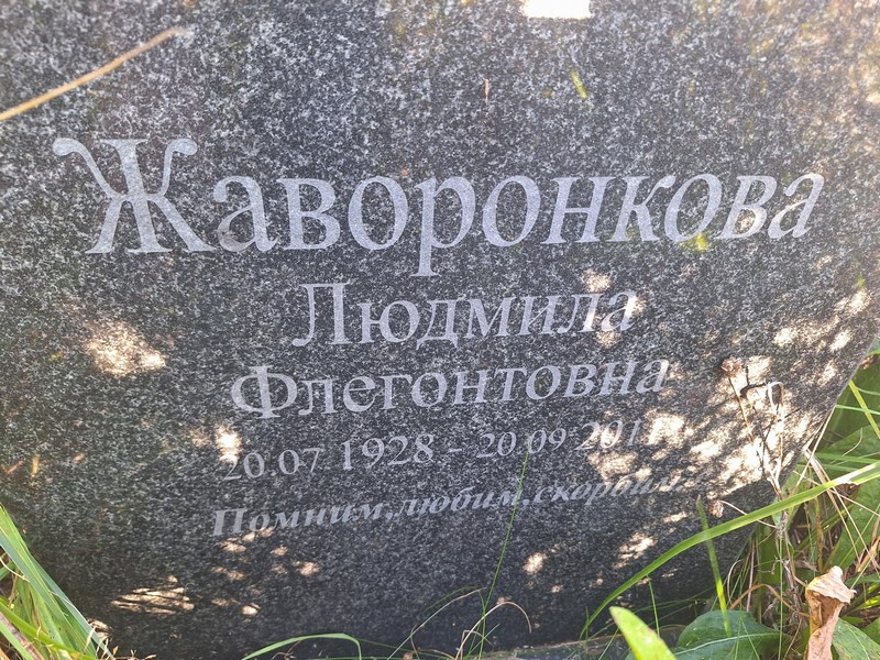 Жаворонкова