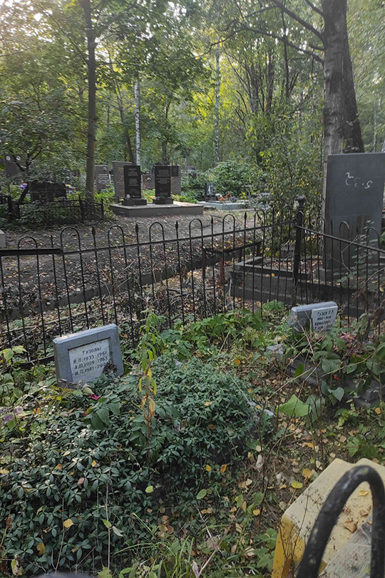 Комаров Ю. В.