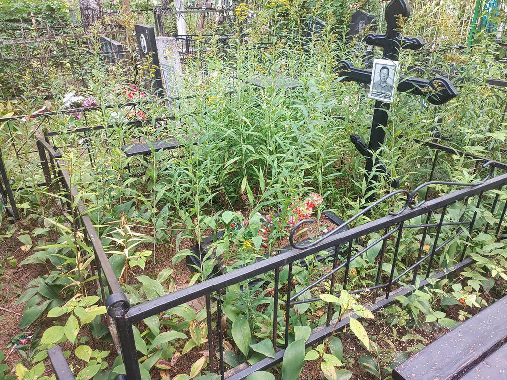 Шабров Александр Викторович
