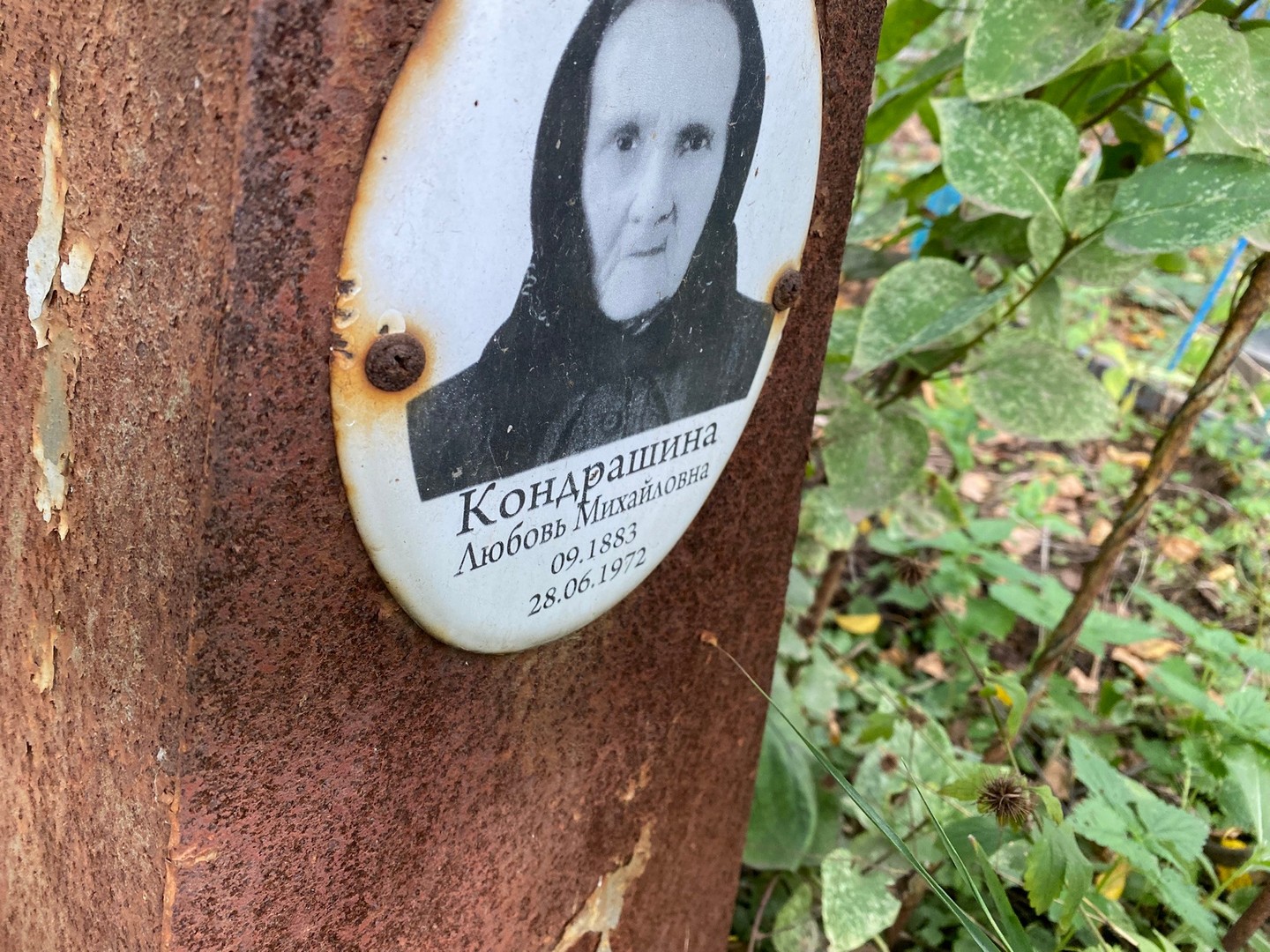 Кондрашина