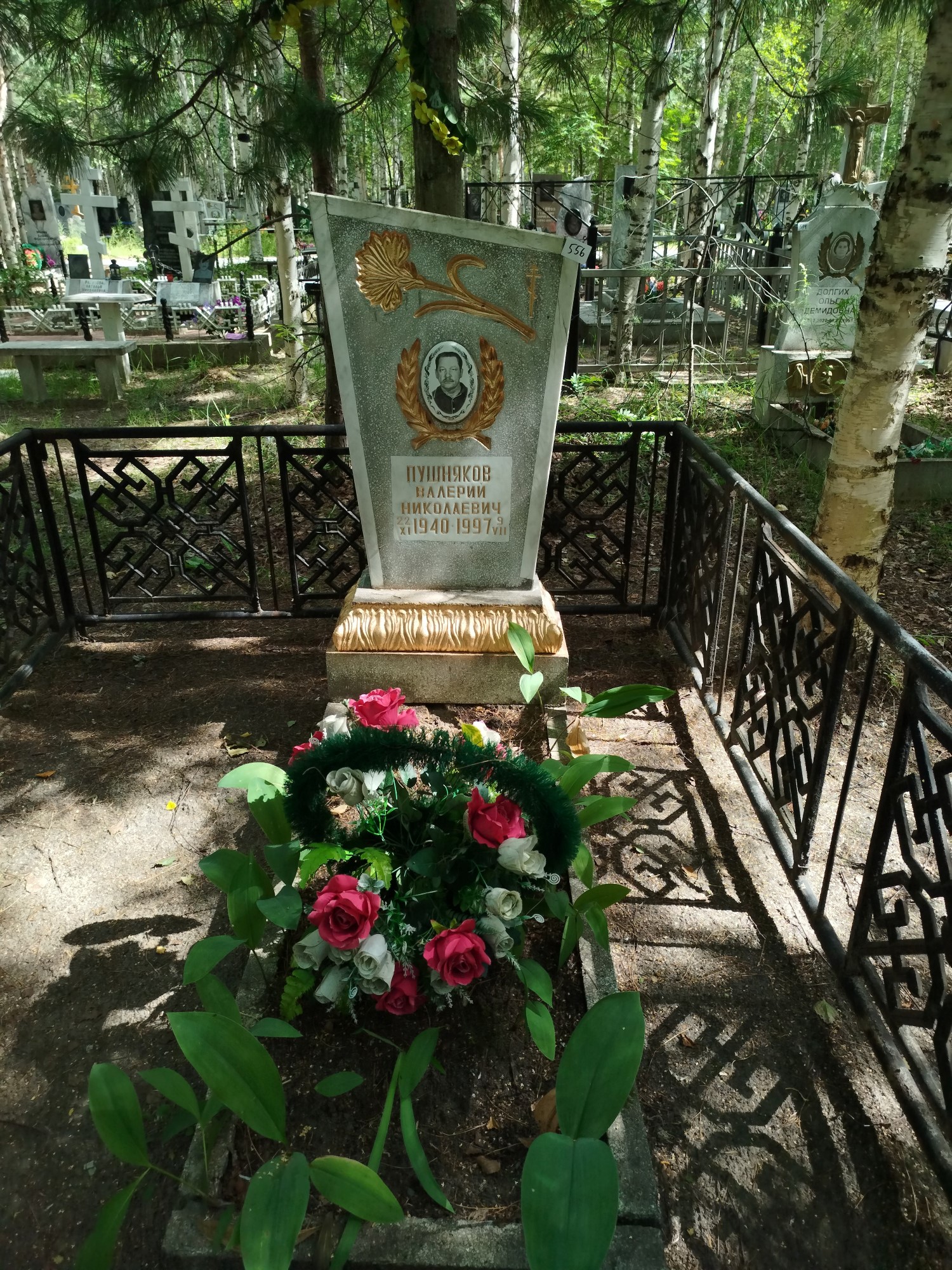 Пушняков Валерий Николаевич