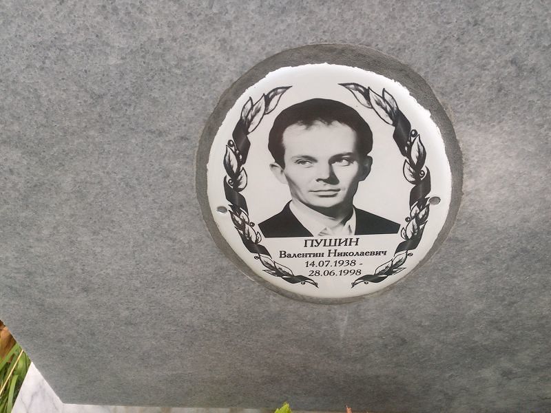 Пушин