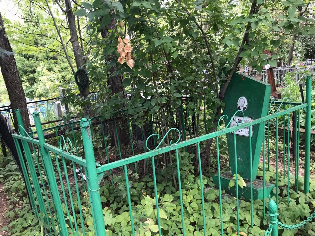 Молюшкин Александр Яковлевич