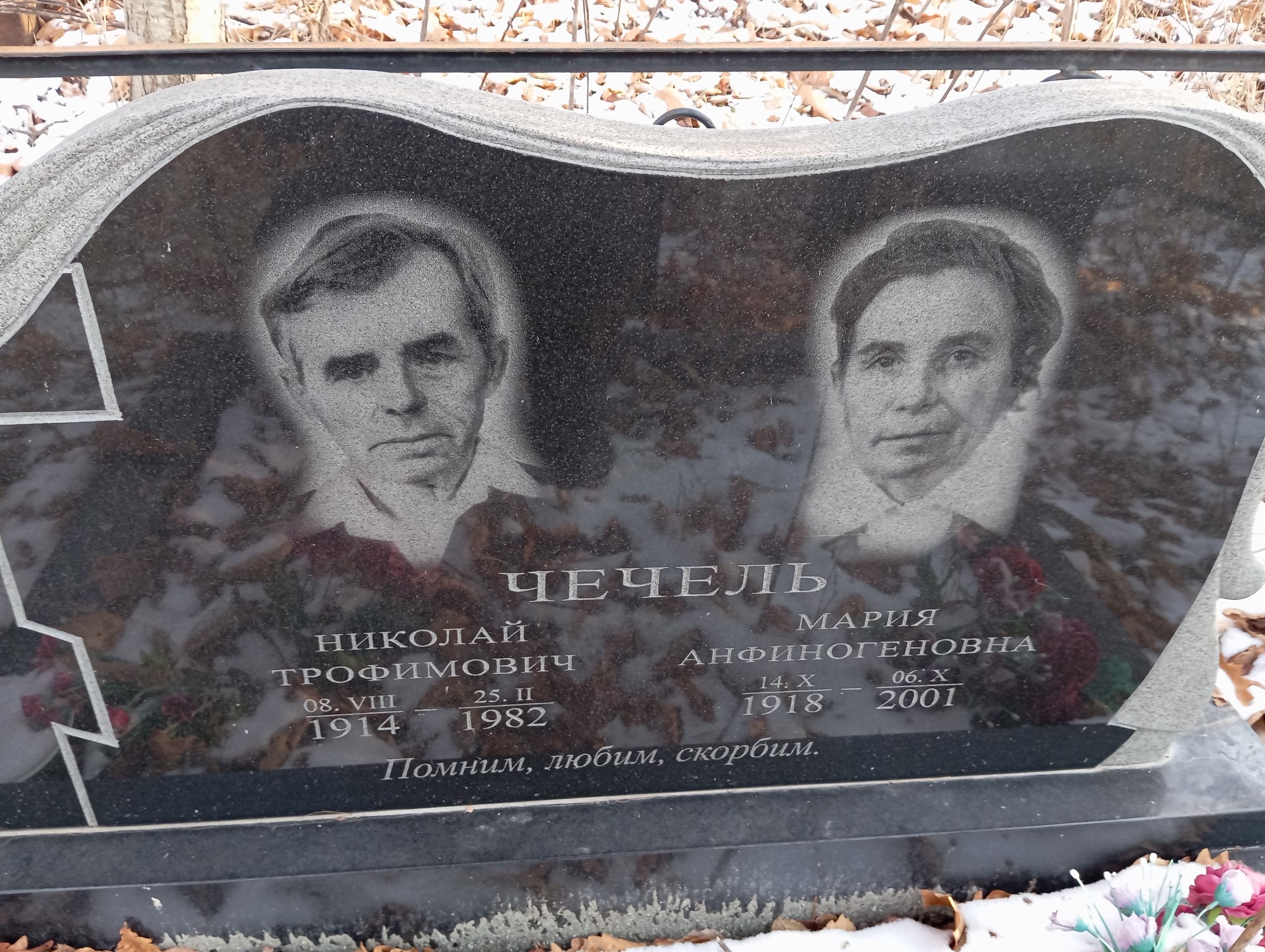 Чечель Николай Трофимович
