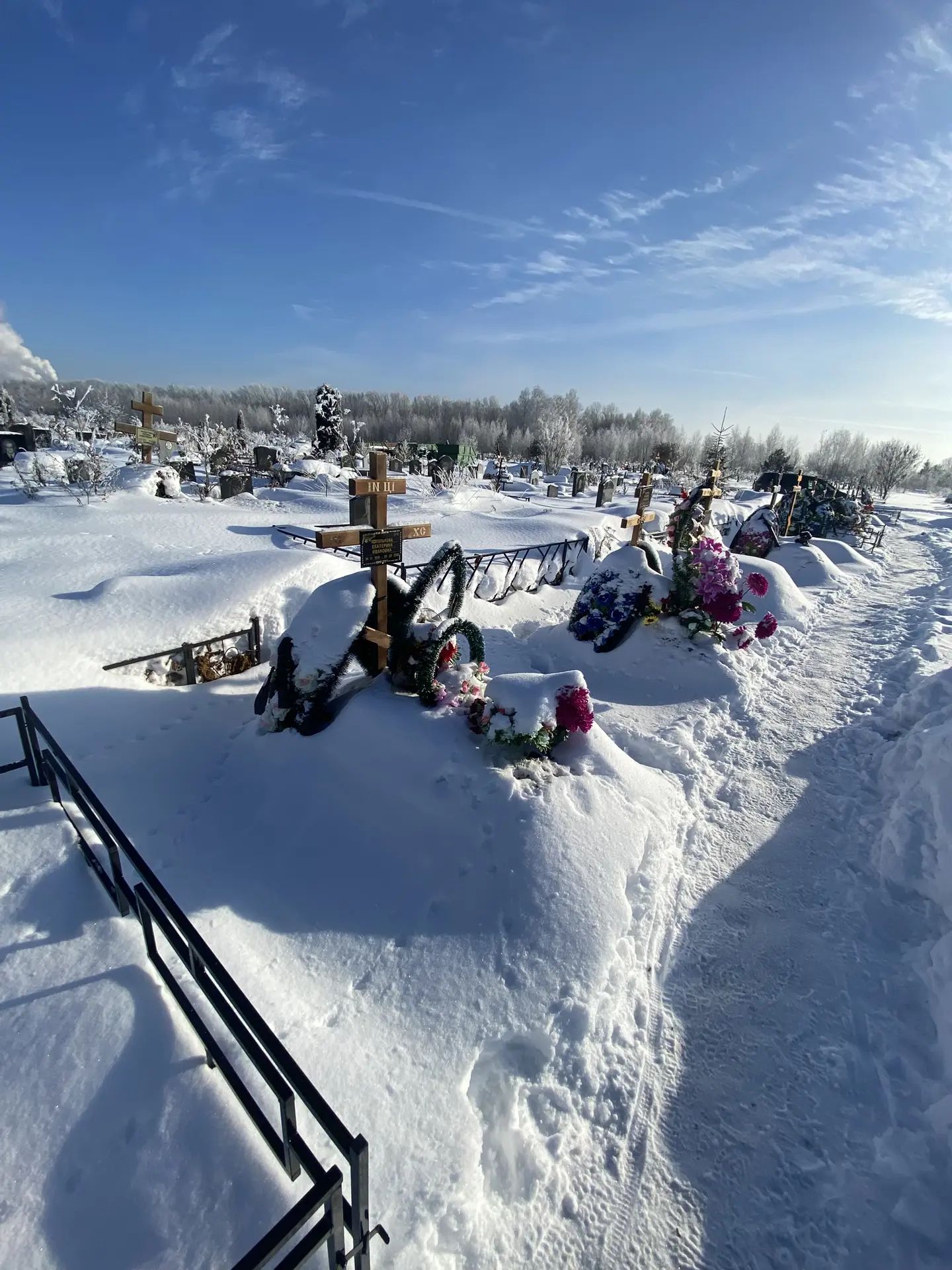 Хохолькова