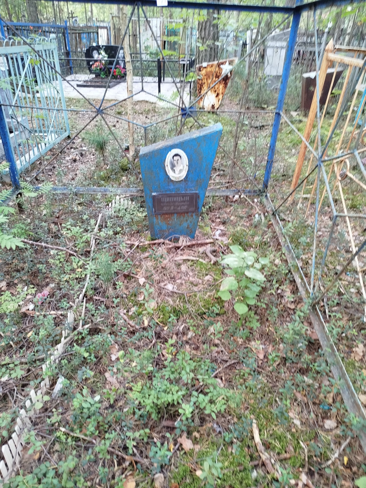 Щипицын Аркадий Григорьевич