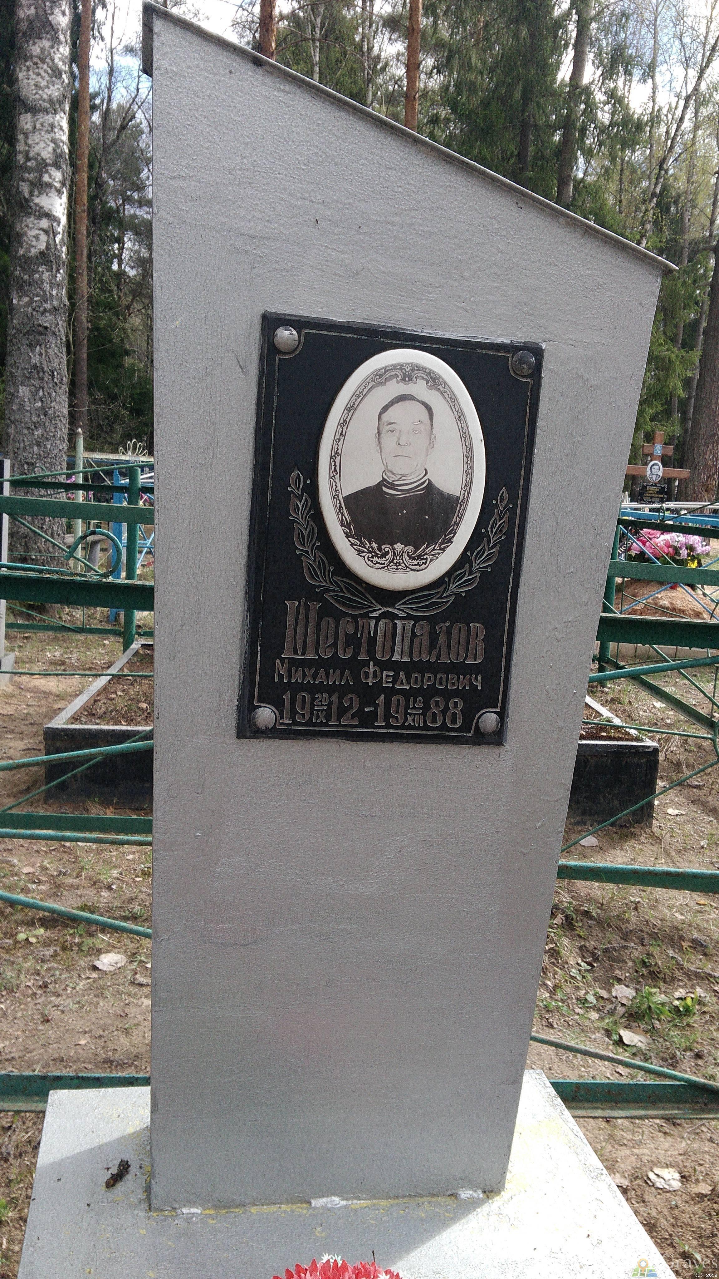 Шестопалов Михаил Фёдорович
