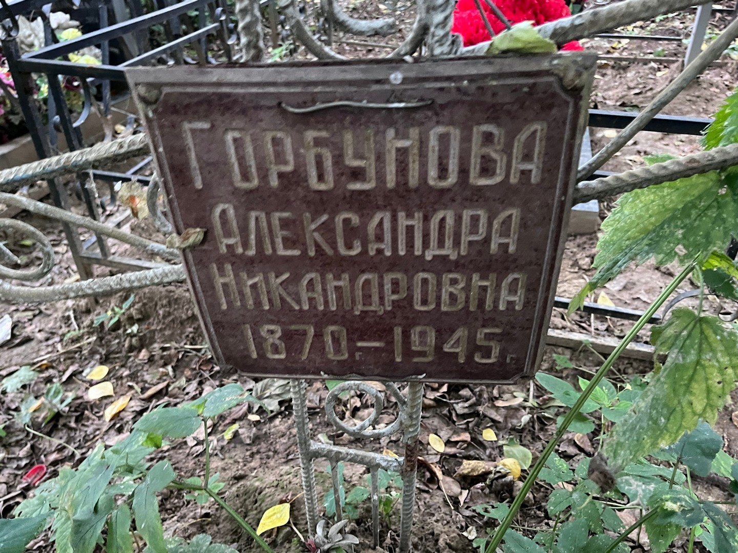Горбунова Александра Никандровна