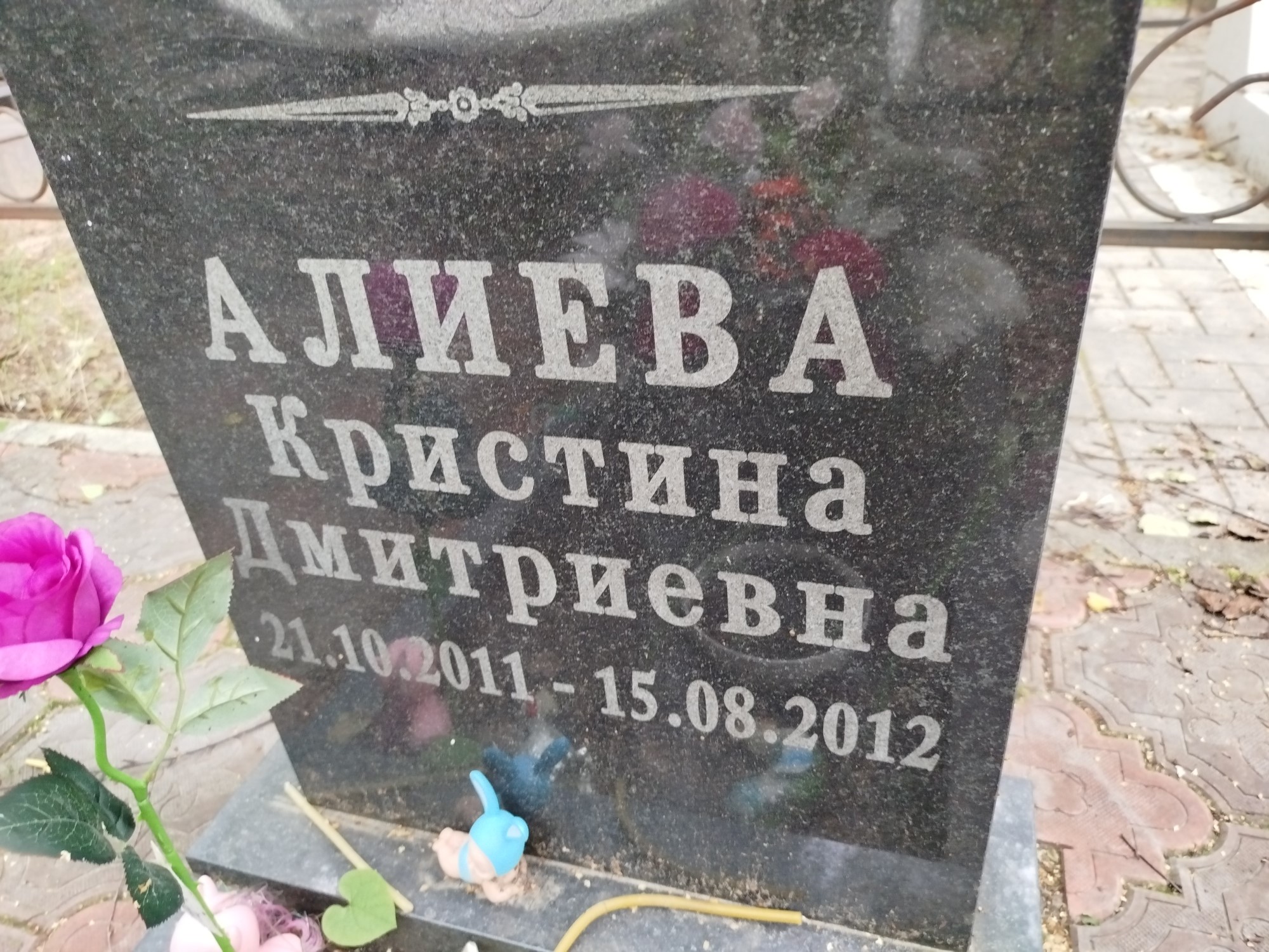 Алиева Кристина Дмитриевна