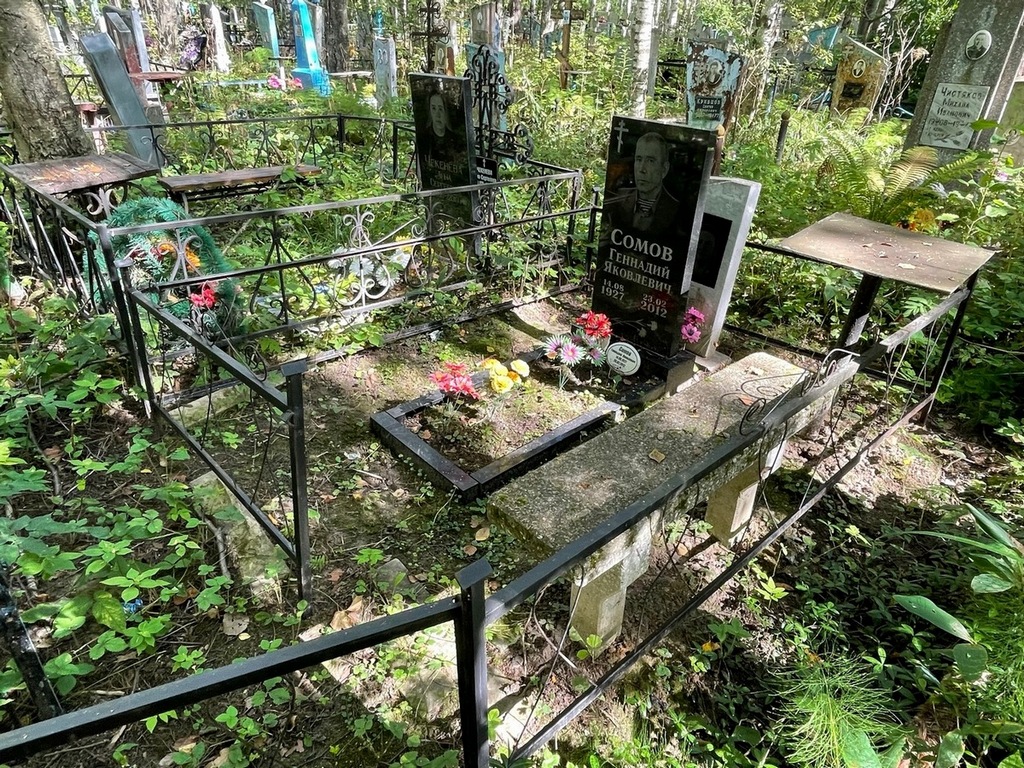 Сомов Геннадий Яковлевич