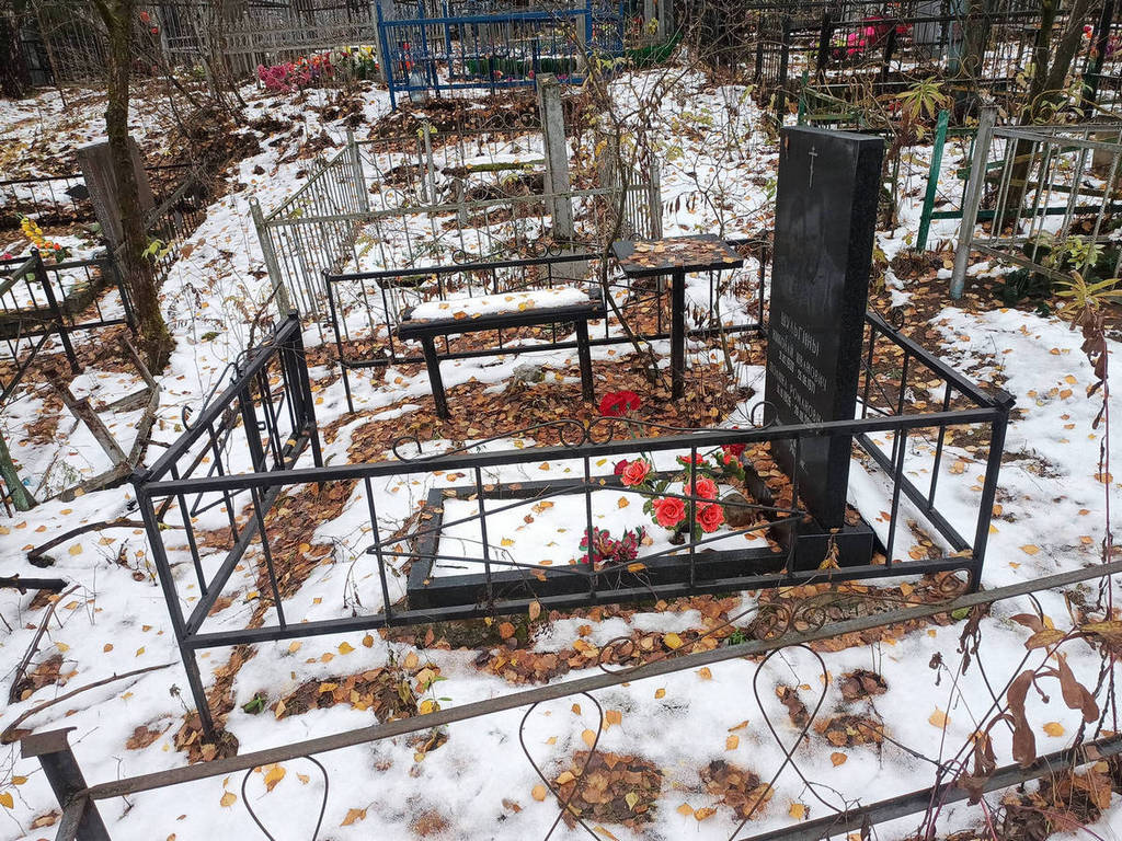 Шульгин Николай Иванович