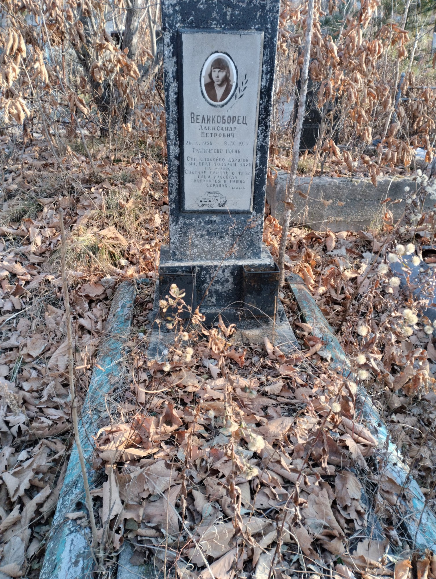 Великоборец Александр Петрович