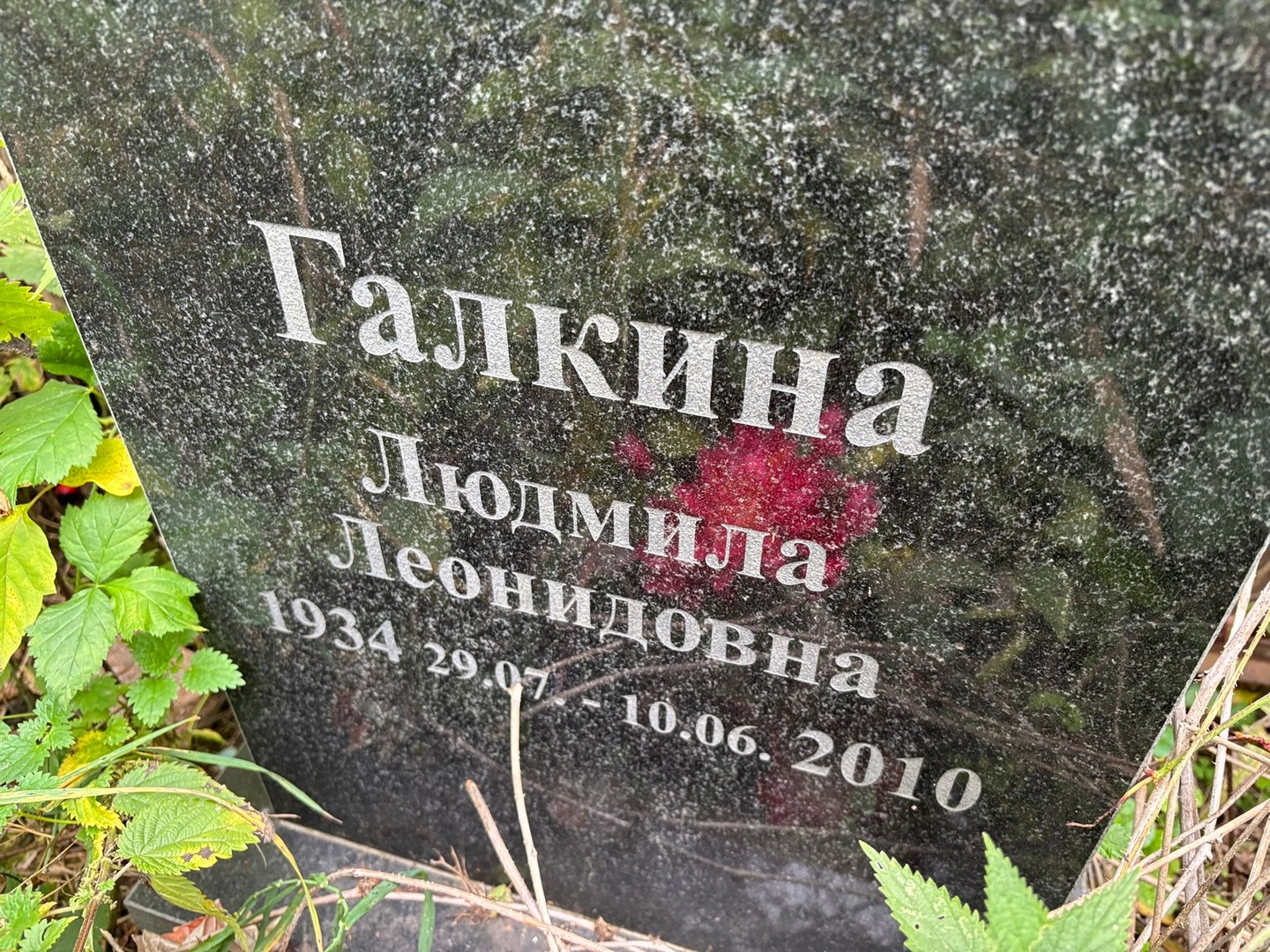 Галкина