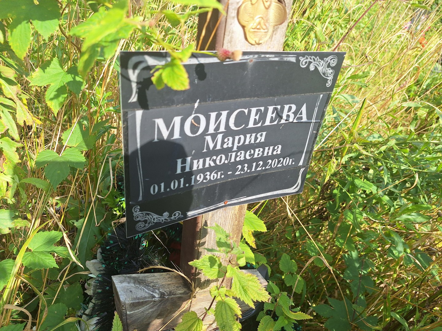 Моисеева