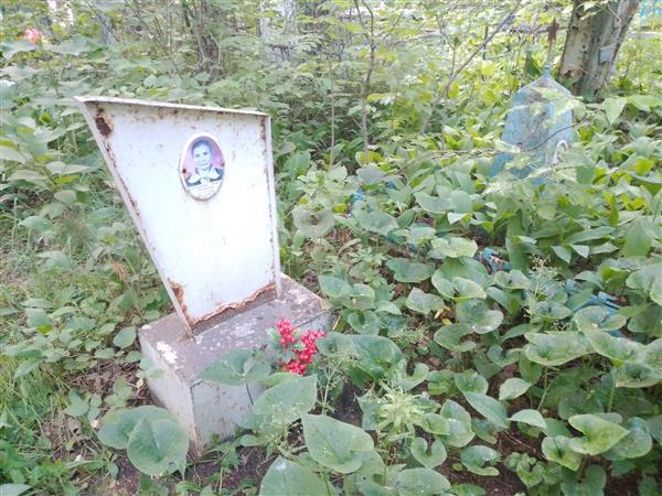 Тойкичева Анна Степановна
