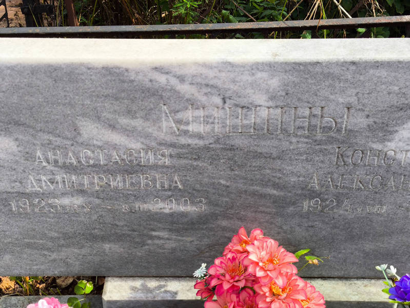 Мишина Анастасия Дмитриевна